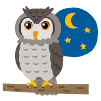 夜のフクロウのイラスト